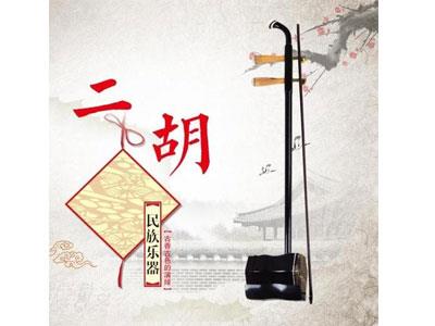 招聘九江二胡家教老师