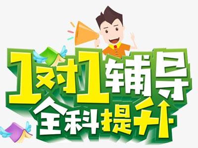 九江请一对一家教哪家好？
